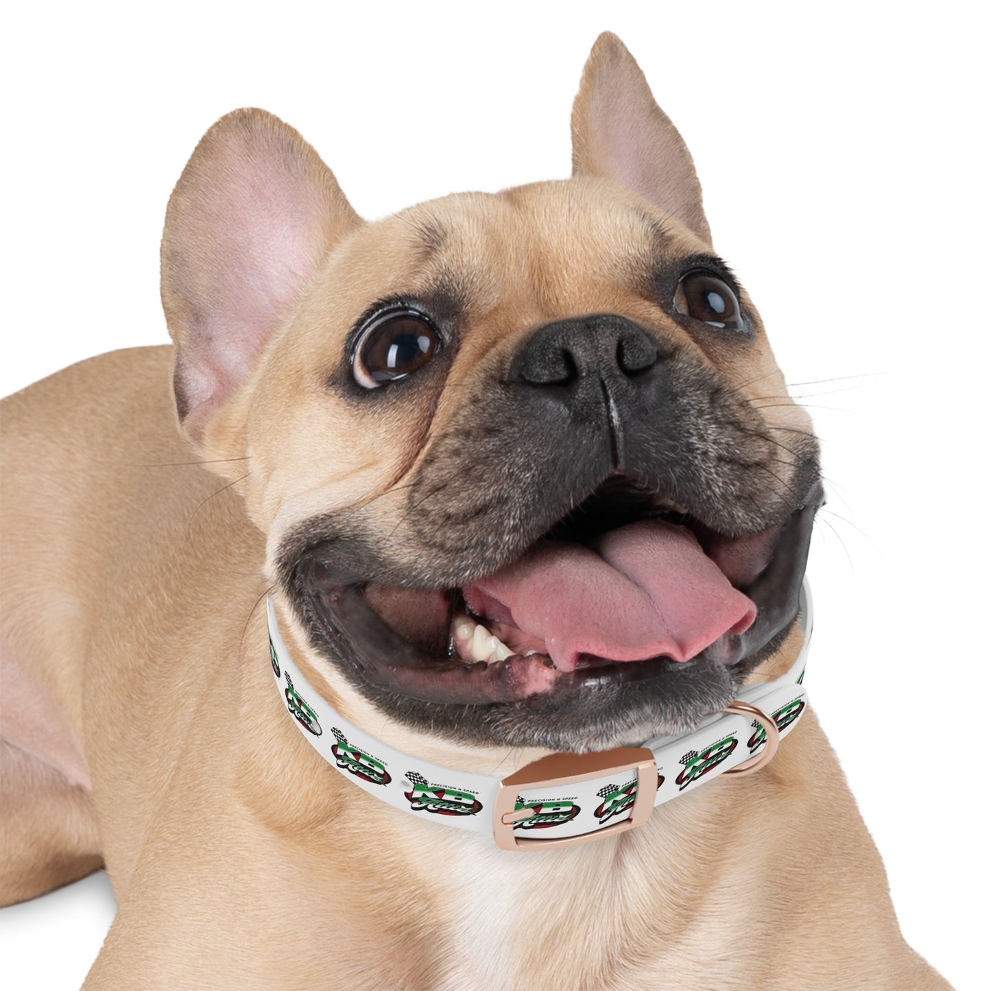 KB Attire Race-Themed Dog Collar