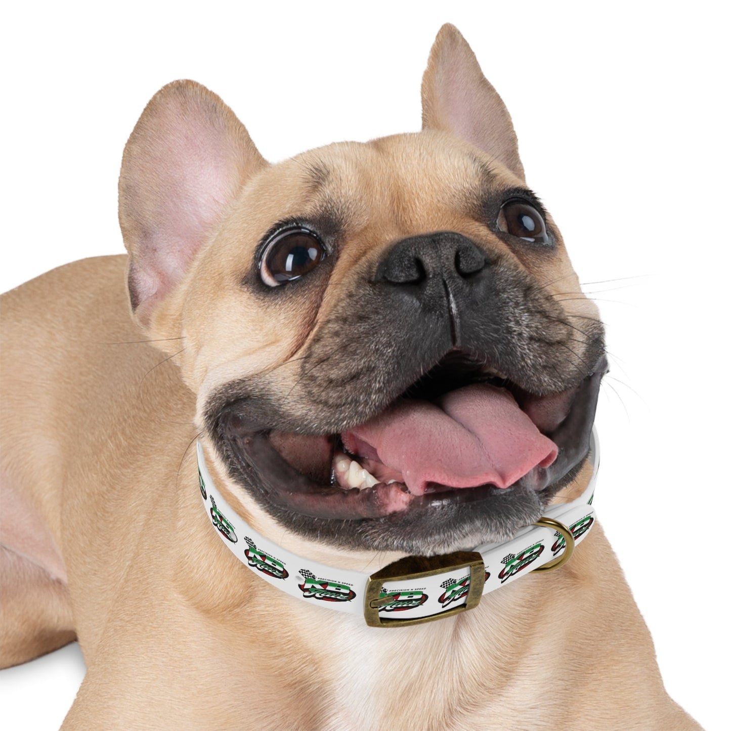 KB Attire Race-Themed Dog Collar